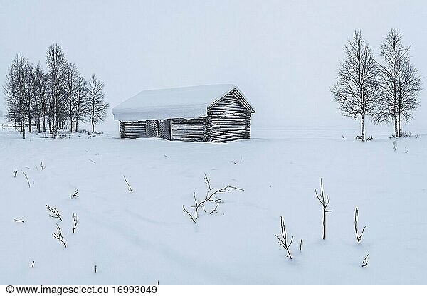 Hütte in einer kalten Winterlandschaft in Lappland innerhalb des Polarkreises in Finnland