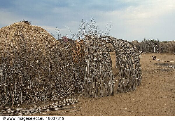 Hütten  Dorf Nyangatom  Stamm der Nyangatom  Omo River Valley  Äthiopien  Bume  Buma  Bumi  Afrika