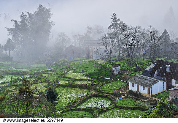 H‰user  Anbauterrassen  Gem¸sefelder im Nebel bei Sapa  Sa Pa  Provinz Lao Cai  Nordvietnam  Vietnam  S¸dostasien  Asien
