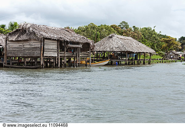 Häuser der Warao-Indianer am Flussufer  Orinoco-Delta  Venezuela
