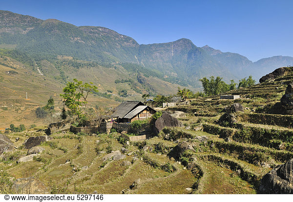 H‰user  Reisbauern  Reisterrassen  Reisfelder bei Sapa  Sa Pa  Provinz Lao Cai  Nordvietnam  Vietnam  S¸dostasien  Asien