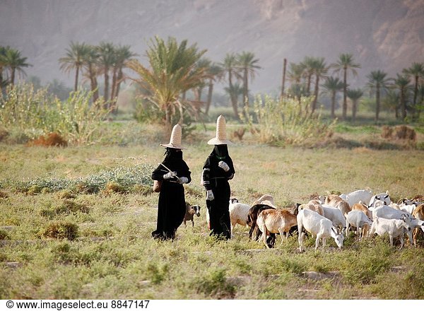 Hadramaut women with full black dresses, gloves and high hats; The high hats are supposed to bring fresh air to the head; Yemen;.