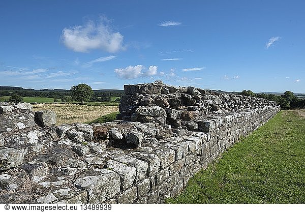 Hadrian s Wall bei Haltwhistle Northumberland England Vereinigtes Königreich Europa'
