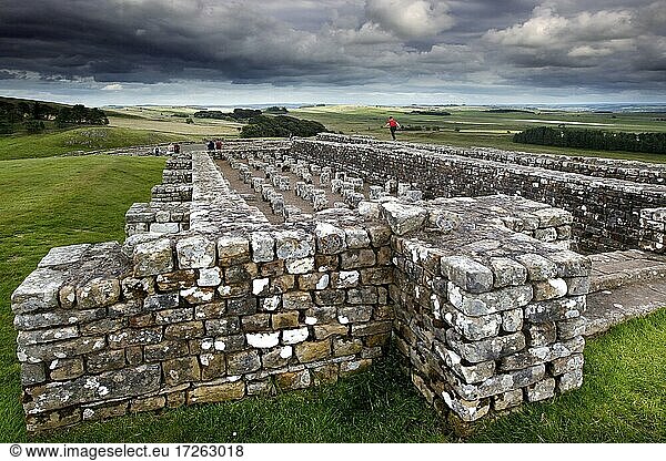 Hadrianswall  Hadrian's Wall  römisches Grenzbefestigungssystem  britannischer Limes  Festungskette  Fort  Ruine  Kastell  Housestead  Parish Bardon Mill  Hexham  Northcumbria  Nordostengland  England  Großbritannien  Europa