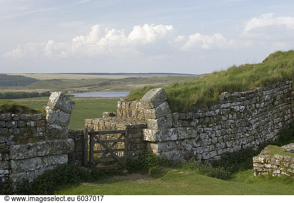 Hadrianswall  UNESCO-Weltkulturerbe  Milecastle 37  nördlich bis Broomleagh Lough  Northumberland  England  Vereinigtes Königreich  Europa