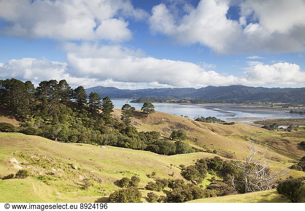 Hafen  Agrarland  Pazifischer Ozean  Pazifik  Stiller Ozean  Großer Ozean  Ansicht  neuseeländische Nordinsel  Neuseeland
