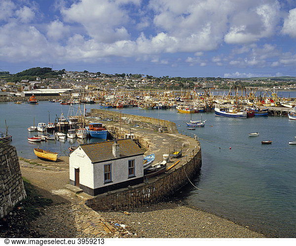 Hafen mit Fischerbooten  Newlyn  Penzance  Cornwall  England  Großbritannien  Europa