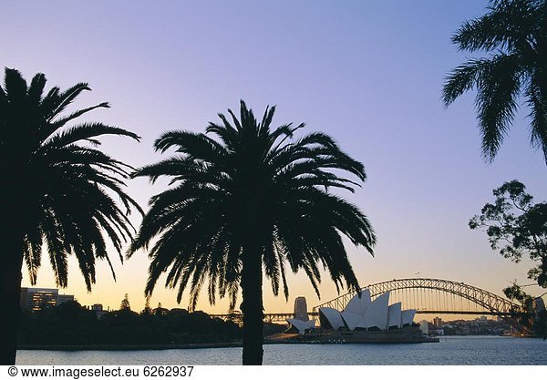 Hafen Opernhaus Oper Opern Brücke Australien Abenddämmerung New South Wales Sydney