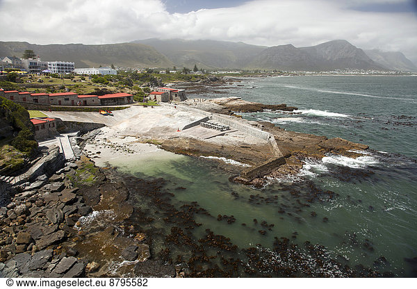 Hafen und Küste von Hermanus Westkap Südafrika