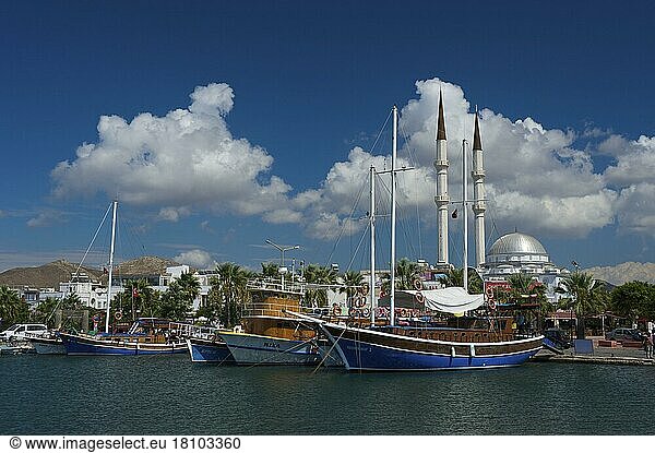 Hafen und Moschee in Turgutreis  bei Bodrum  türkische Ägäis  türkische Ägäis  Türkei  Asien