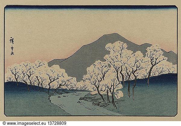 Hain der Kirschbäume (Sakura namiki zu) 1900