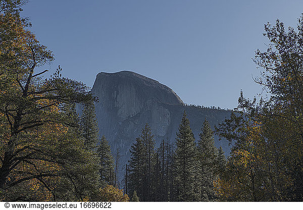 Half Dome from the Yosemite Valley ground during fall with forest