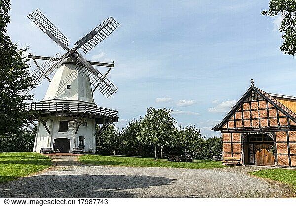 Half-timbered house  windmill  Tonnenheide  Rahden  Minden-Lübbecke  East Westphalia-Lippe  North Rhine-Westphalia  Germany  Europe