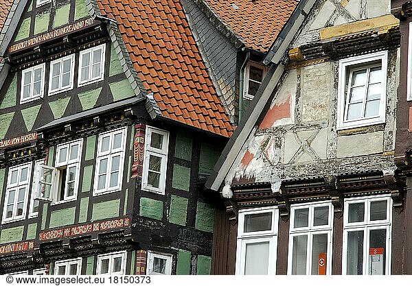 Half-timbered houses  restored and unrestored  facade renovation  Celle  Lower Saxony  Germany  Europe
