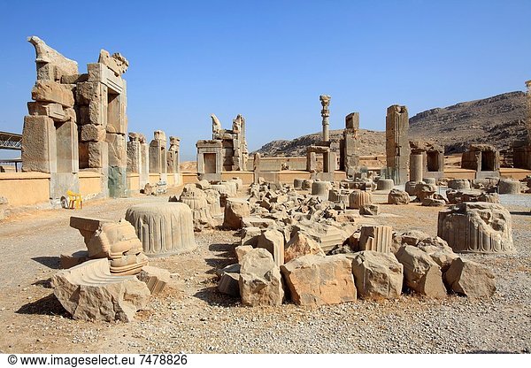 Halle Ruine Säule 100 Iran Persepolis