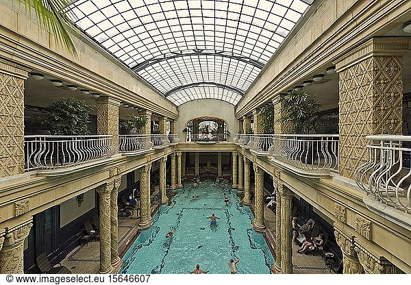 Hallenschwimmbad im St. Gellért Thermalbad  Budapest  Ungarn  Europa