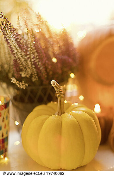 Halloween decoration with pumpkin and flowers