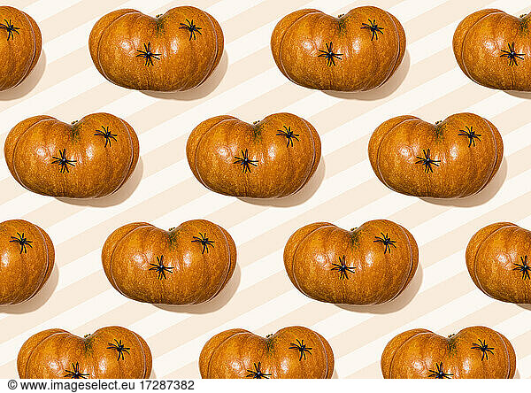 Halloween pattern of spiders crawling on raw pumpkins