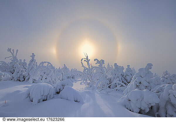 Halo created by sun rising over snow covered landscape in Ore Mountains