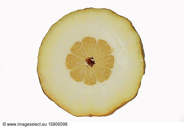 Halved citron (Citrus medica)  cutout  Germany  Europe