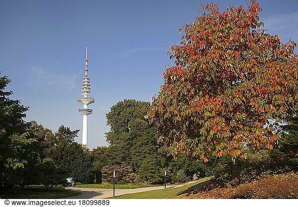 Hamburg TV Tower  Heinrich Hertz Tower  Planten un Blomen Public Park  Hamburg  Germany  Europe
