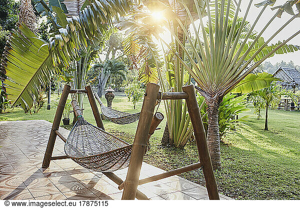 Hammock hanging by palm trees at resort