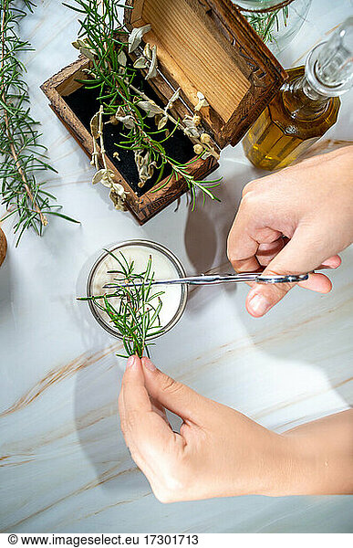 Hand cutting rosemary for preparation of alternative treatment