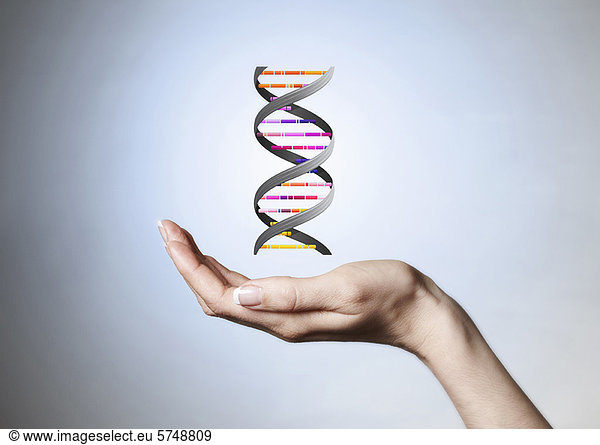 Hand haltender Stamm der DNA