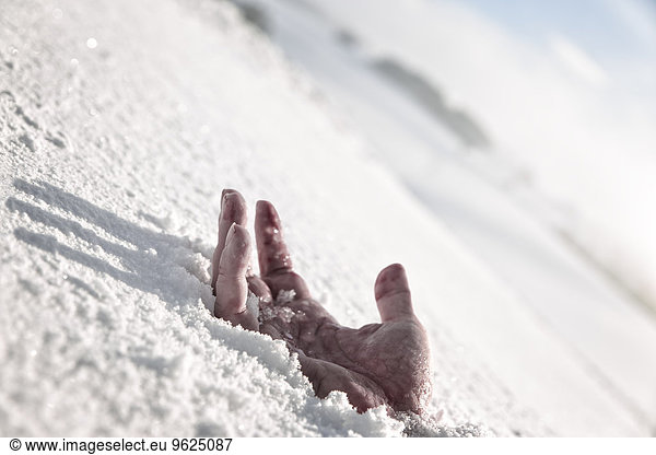 Hand im Schnee