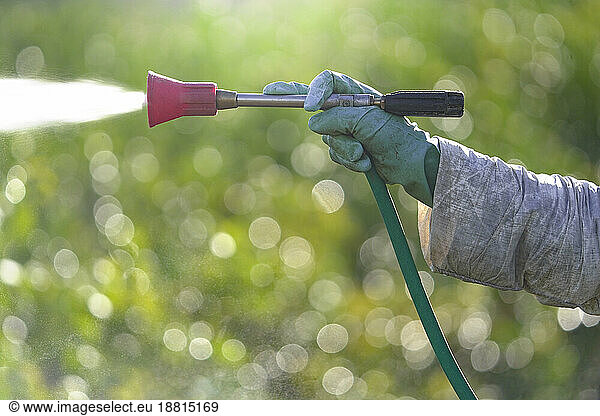Hand of farm worker spraying pesticide