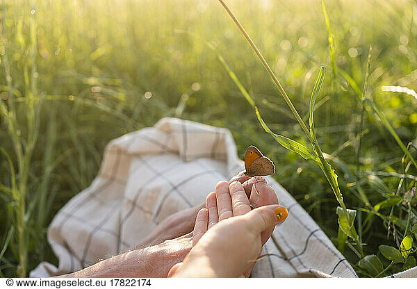 Hand of girl touching butterfly