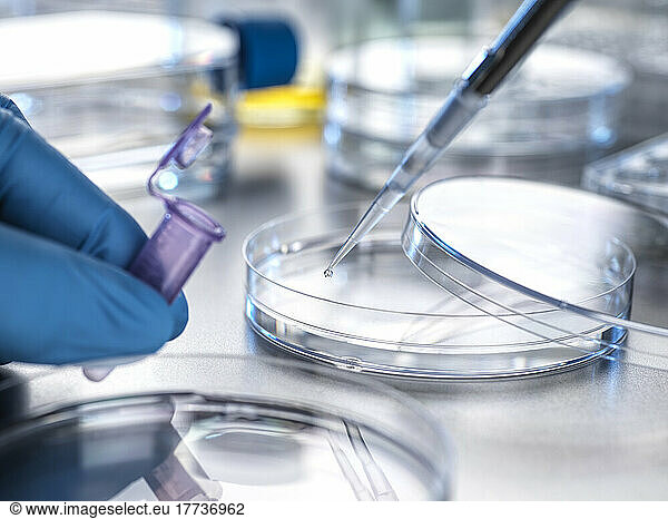 Hand of scientist pipetting sample into vial for laboratory experiment