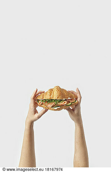 Hand of woman holding fresh croissant with salmon filling against white background