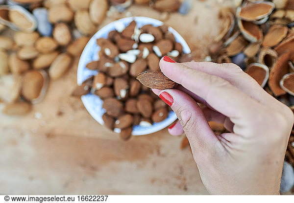 Hand of woman holding peeled almond
