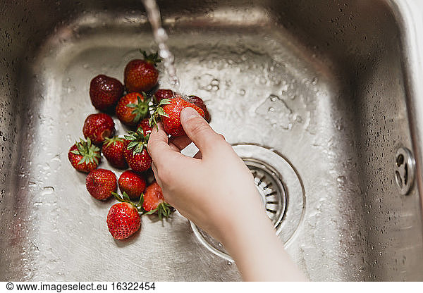 Hand washing strawberries in a sink
