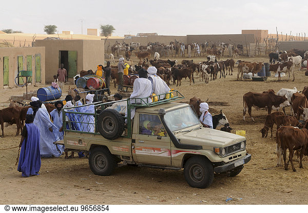 Handel am Kamelmarkt von Nouakchott  Mauretanien  nordwestliches Afrika  Afrika