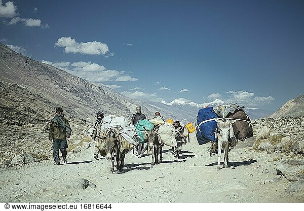 Handelskarawane  vier Esel  Khandud  Wakhan-Korridor  Badachschan  Afghanistan  Asien
