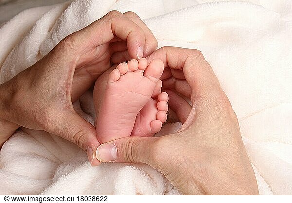 Hands embrace baby feet