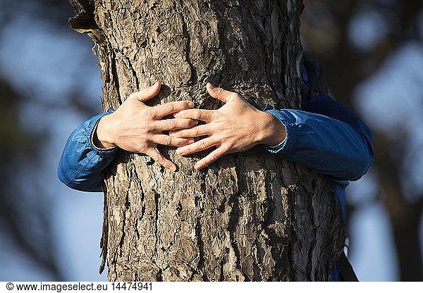 Hands of a man hugging a tree