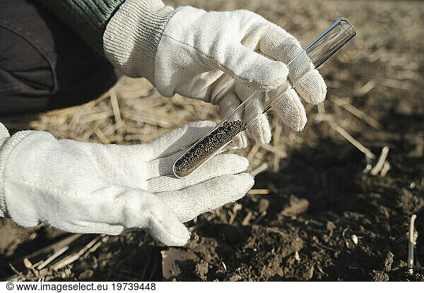 Hands of agronomist collecting soil in test tube for examination