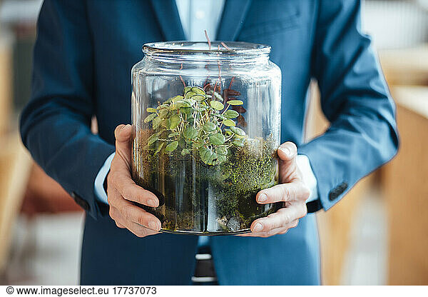 Hands of businessman holding glass container with plant