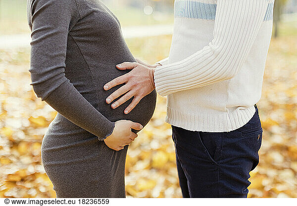 Hands of man touching pregnant woman's stomach at park