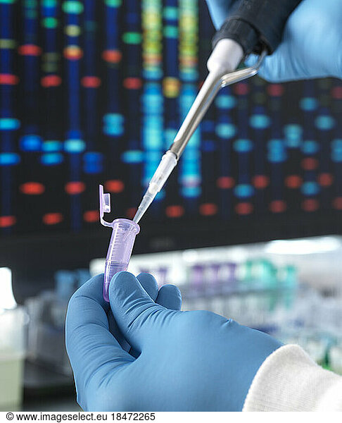 Hands of scientist pouring DNA sample through pipette in test tube