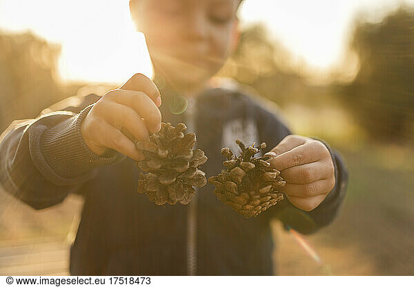 Hands of small boy holding two pine cones during sunset