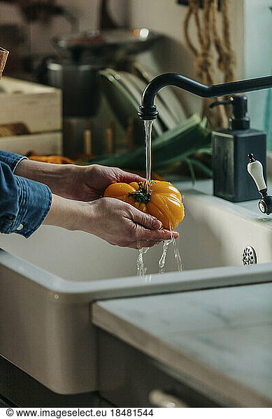 Hands of woman washing fresh tomato under faucet in kitchen