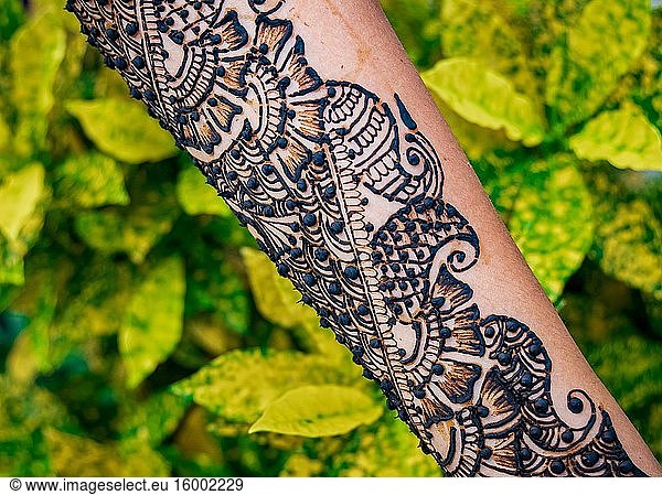 Hands of woman with detailed henna design art.