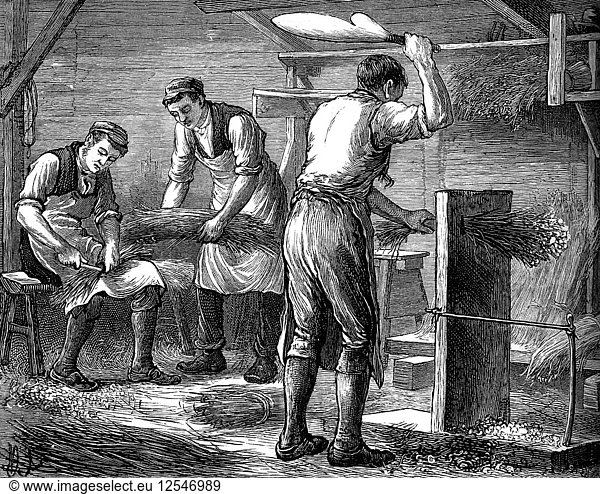 Handschneider bei der Arbeit  um 1880. Künstler: Unbekannt