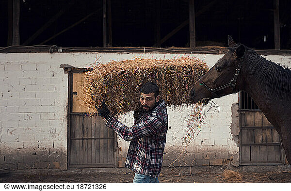 handsome horse-keeper carrying hay bales
