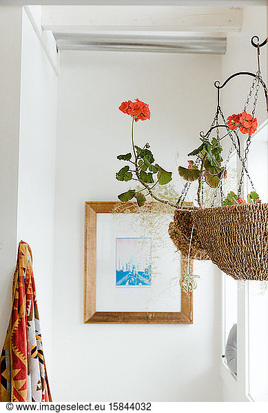hanging geraniums and Pendleton towel decorate a clean white bathroom