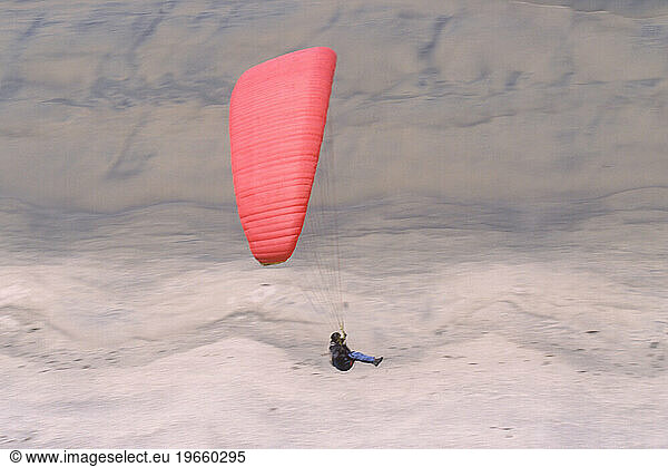 Hangliders and paragliders near San Diego.